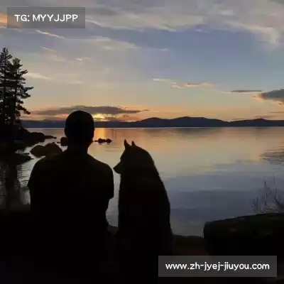 朱晶丹